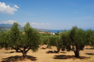 Η γη της επαγγελίας λένε οι ντόπιοι